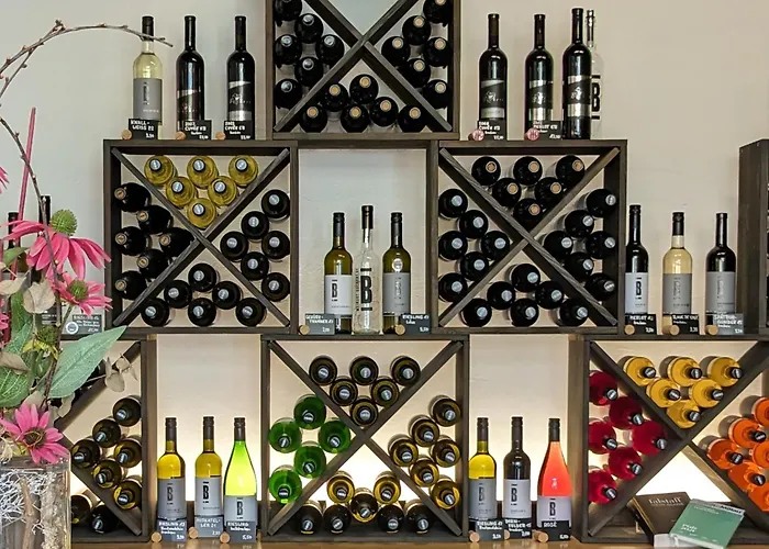 Penzion Weingut-gaestehaus Buchert *