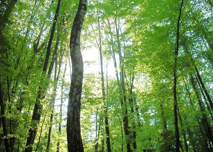 Weingut-gaestehaus Buchert *